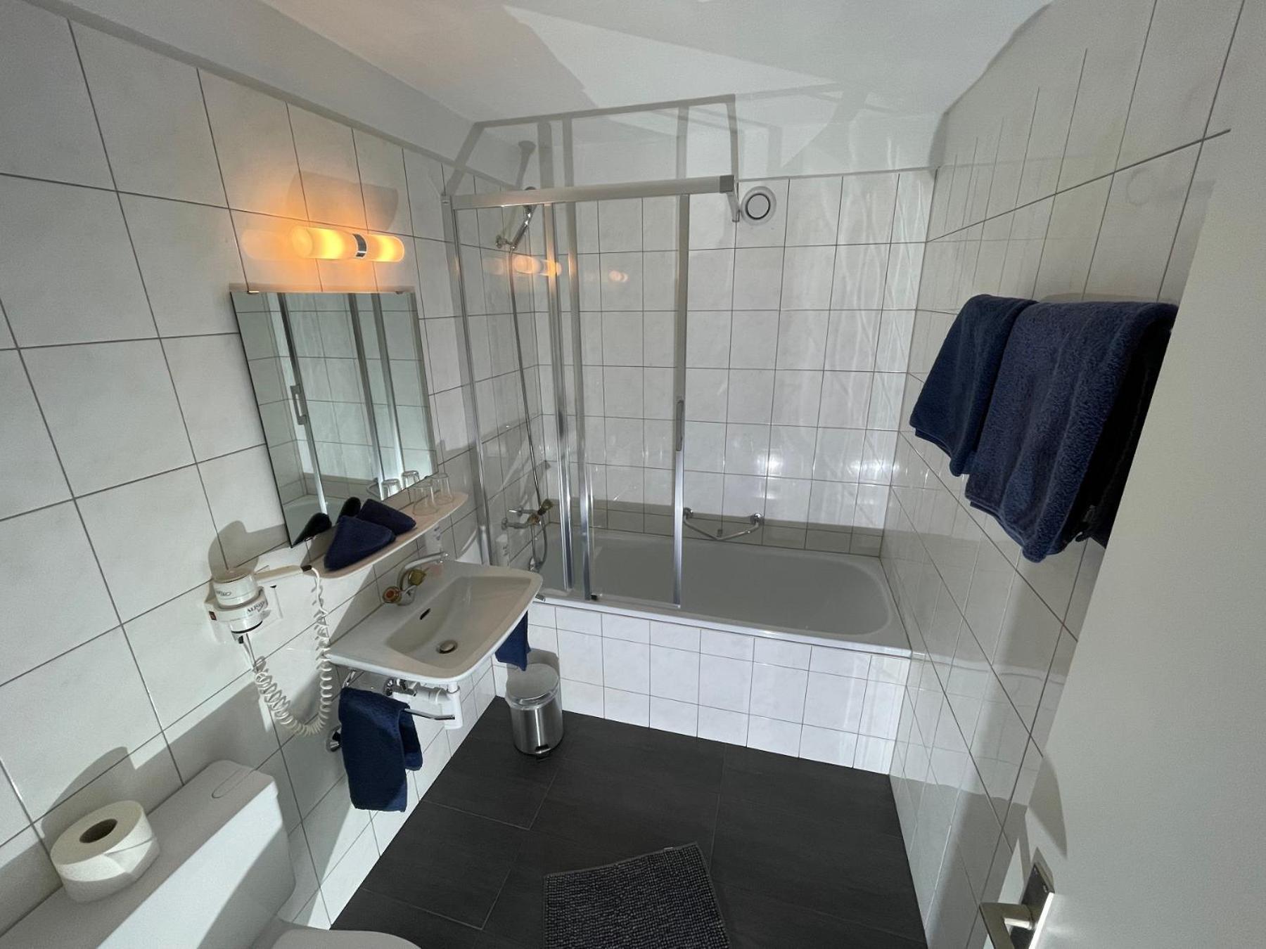 Catrina Hotel Disentis Phòng bức ảnh